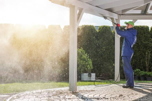 Best Dumpster Area Cleaning  in Hartsdale, NY